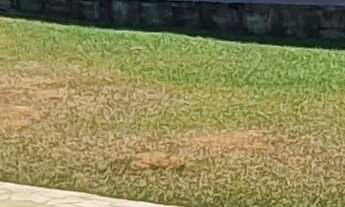 Imagem 2: SITIO RESIDENCIAL em CONTAGEM - MG, CHÁCARAS REUNIDAS SANTA TEREZINHA