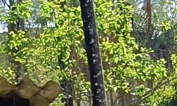 Imagem 3: FAZENDA RURAL em ESMERALDAS - MG, ÁREA RURAL DE ESMERALDAS