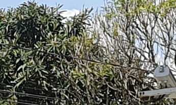 Imagem 4: TERRENO RURAL em FORTUNA DE MINAS - MG, VITORINA PARK II