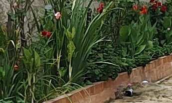 Imagem 2: CASA RESIDENCIAL em ESMERALDAS - MG, CIDADE JARDIM