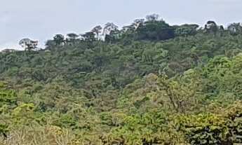 Imagem 2: AREA COMERCIAL em ESMERALDAS - MG, NOVO RETIRO