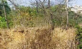 Imagem 3: AREA COMERCIAL em ESMERALDAS - MG, NOVO RETIRO