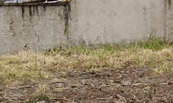 Imagem: TERRENO RESIDENCIAL em ESMERALDAS - MG