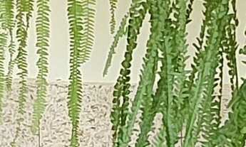 Imagem 7: CASA RESIDENCIAL em ESMERALDAS - MG, CIDADE JARDIM