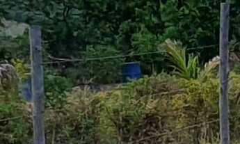 Imagem 4: SITIO RURAL em ESMERALDAS - MG, MONJOLINHOS