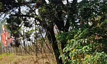 Imagem 6: AREA COMERCIAL em ESMERALDAS - MG, NOVO RETIRO