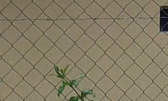 Imagem 5: SITIO RURAL em ESMERALDAS - MG, MONJOLINHOS