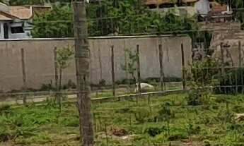 Imagem 6: TERRENO RESIDENCIAL em ESMERALDAS - MG, CENTRO