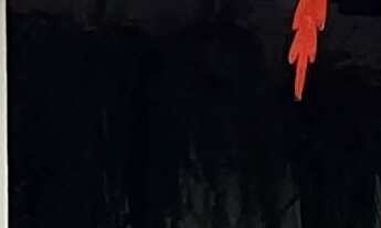 Imagem 5: CASA RESIDENCIAL em ESMERALDAS - MG, CIDADE JARDIM