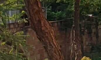 Imagem 3: TERRENO RESIDENCIAL em ESMERALDAS - MG, SANTA CECÍLIA