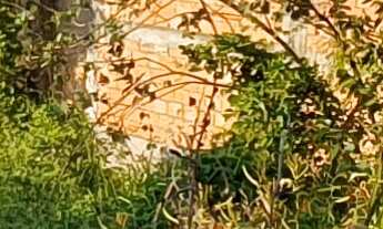 Imagem 2: TERRENO RESIDENCIAL em ESMERALDAS - MG, SANTA CECÍLIA