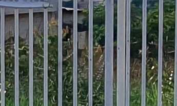 Imagem 5: TERRENO RESIDENCIAL em ESMERALDAS - MG, SANTA CECÍLIA