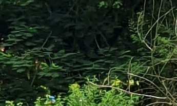 Imagem 5: TERRENO COMERCIAL em ESMERALDAS - MG, CIDADE JARDIM