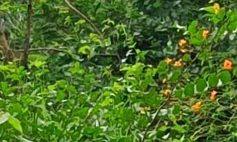 Imagem 2: TERRENO COMERCIAL em ESMERALDAS - MG, CIDADE JARDIM