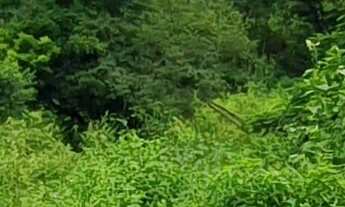 Imagem 6: TERRENO COMERCIAL em ESMERALDAS - MG, CIDADE JARDIM