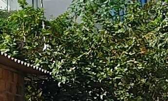 Imagem: TERRENO RESIDENCIAL em ESMERALDAS - MG