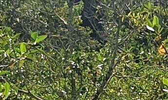 Imagem 4: AREA RURAL em ESMERALDAS - MG, ÁREA RURAL DE ESMERALDAS