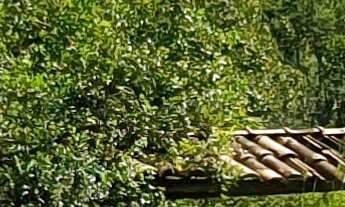 Imagem 3: TERRENO RURAL em ESMERALDAS - MG, PARQUE DO GIRASSOL