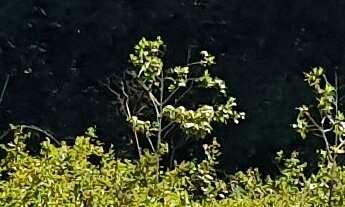 Imagem 2: AREA RURAL em ESMERALDAS - MG, ÁREA RURAL DE ESMERALDAS