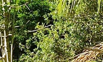 Imagem 7: AREA RURAL em ESMERALDAS - MG, ÁREA RURAL DE ESMERALDAS