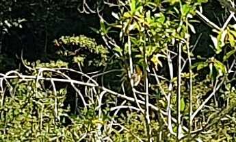 Imagem 5: AREA RURAL em ESMERALDAS - MG, ÁREA RURAL DE ESMERALDAS