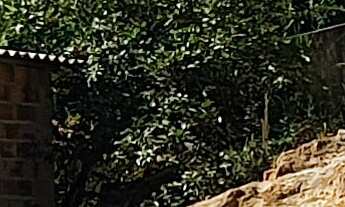 Imagem 2: TERRENO RESIDENCIAL em ESMERALDAS - MG, BELVEDERE