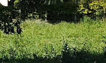 Imagem: TERRENO COMERCIAL em ESMERALDAS - MG, CIDADE