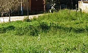 Imagem 2: TERRENO COMERCIAL em ESMERALDAS - MG, CIDADE JARDIM