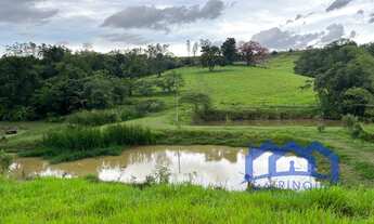 Imagem 3: Sítio/Fazenda à Venda, 4 alqueires por R$ 850.000 Cód. ch1512