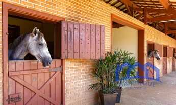 Imagem 5: FAZENDA RURAL em CESÁRIO LANGE - SP, centro
