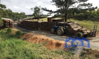 Imagem 5: Sítio/Fazenda à Venda, 3,8 alqueires por R$ 2.000.000 Cód. ch1589