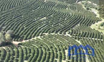 Imagem: FAZENDA RURAL em ANGATUBA - SP, Centro