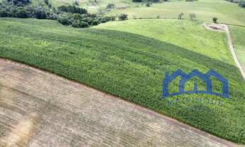 Imagem: Sítio/Fazenda à Venda, 11 alqueires por