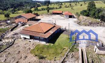 Imagem: SITIO RURAL em PILAR DO SUL - SP, centro