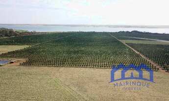 Imagem: FAZENDA RURAL em VOTUPORANGA - SP, PATRIMÔNIO