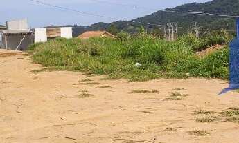 Imagem: TERRENO RURAL em MAIRINQUE - SP, moreiras