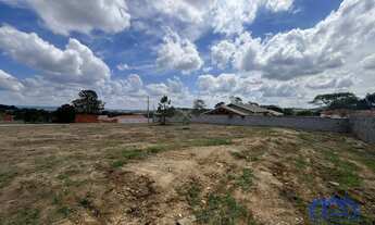 Imagem 4: TERRENO RURAL em MAIRINQUE - SP, moreiras