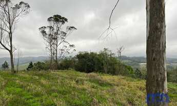 Imagem 5: Sítio com 3 Quartos e 2 banheiros à Venda, 133.000 m² por R$ 850.000 Cód. ch1864