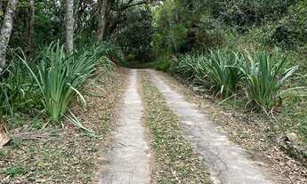 Imagem 7: Sítio com 3 Quartos e 2 banheiros à Venda, 133.000 m² por R$ 850.000 Cód. ch1864