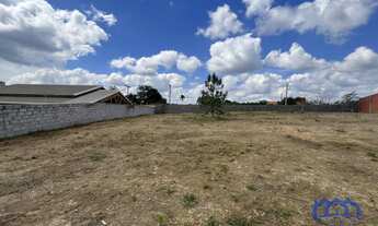 Imagem 2: TERRENO RURAL em MAIRINQUE - SP, moreiras