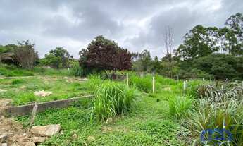 Imagem 5: TERRENO RURAL em MAIRINQUE - SP, moreiras