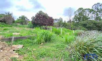 Imagem 4: TERRENO RURAL em MAIRINQUE - SP, moreiras