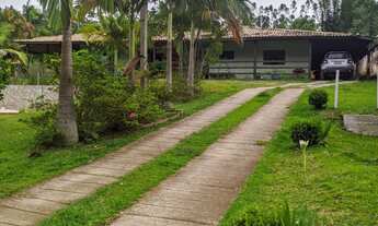 Imagem: CHACARA RURAL em MAIRINQUE - SP, moreiras