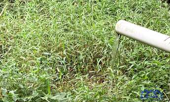 Imagem 3: Chácara com 3 Quartos e 3 banheiros, 24.000 m² por R$ 650.000 cod.ch1899