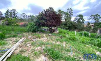 Imagem 2: TERRENO RURAL em MAIRINQUE - SP, moreiras