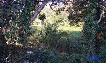 Imagem 7: Chácara com 1 Quarto e 1 banheiro à Venda, 3.900 m² por R$ 380.000 Cód. ch1901