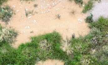 Imagem 3: Lote/Terreno à Venda, 1.000 m² por R$ 110.000 Cód. ch1939