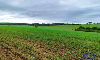 Imagem: Sitio/Fazenda à Venda, 53 alqueires por