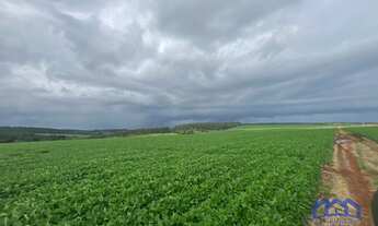 Imagem: Sítio/Fazenda à Venda, 86 alqueires por