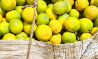 Imagem 4: Sítio/Fazenda à Venda, 350 alqueires por R$ 275.000.000 Cód. ch1961